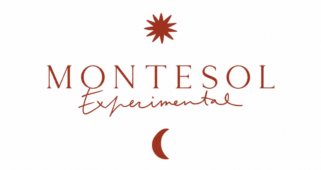 Montesol Experimental Logo